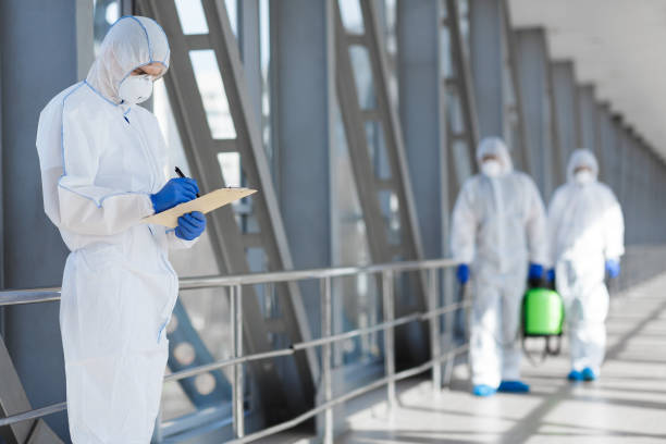Youngstown, NY Mold Removal Company