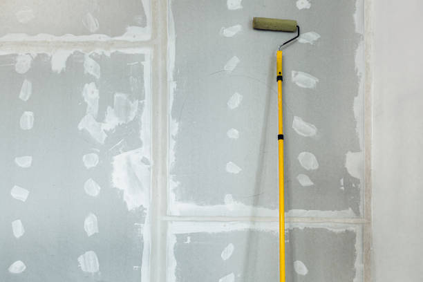 Best Mold Removal for HVAC Installations  in Youngstown, NY