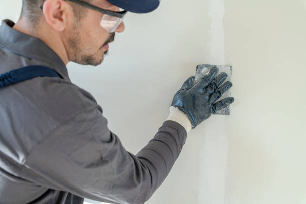 Best Airborne Mold Testing  in Youngstown, NY