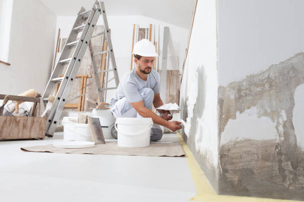 Best Mold Damage Restoration  in Youngstown, NY
