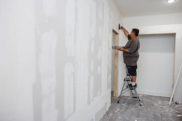Best Forensic Mold Investigation  in Youngstown, NY