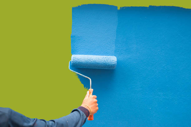  Youngstown, NY Mold Removal Pros